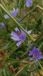 Similar image 22641240