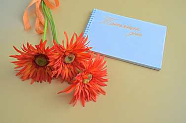 Similar image 22624601
