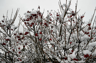 Similar image 22624602