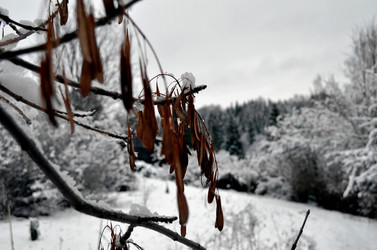 Similar image 22624603