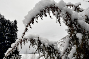 Similar image 22624607