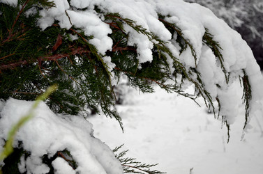 Similar image 22624609