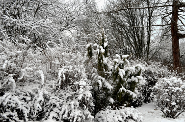 Similar image 22624610