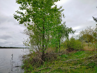 Similar image 22628151