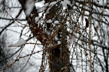 Similar image 22624611