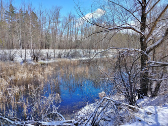 Similar image 22628153