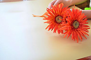 Similar image 22624614