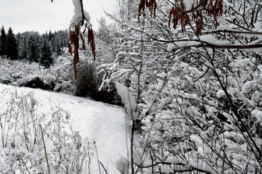 Similar image 22624622