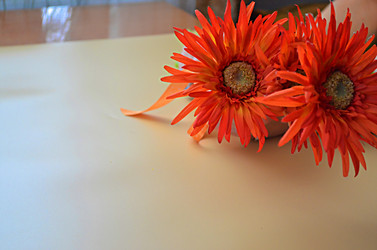 Similar image 22624624