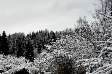 Similar image 22624625