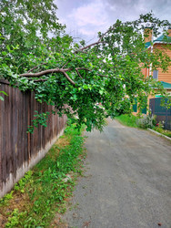 Similar image 22628160