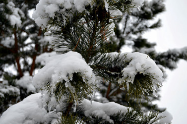 Similar image 22624626