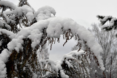 Similar image 22624627