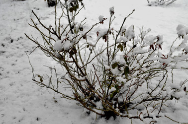 Similar image 22624628