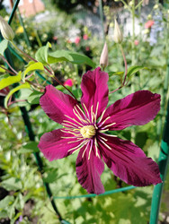 Similar image 22628164