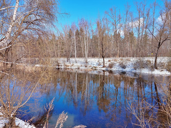 Similar image 22629377