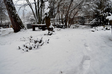 Similar image 22624632