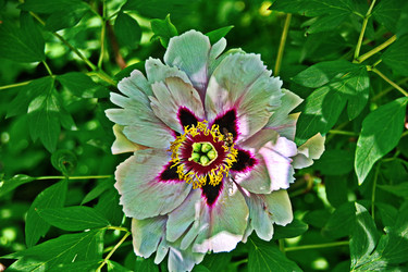 Similar image 22621073