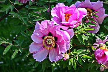 Similar image 22621074