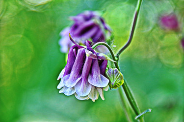 Similar image 22621075