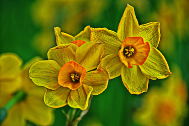 Similar image 22621077