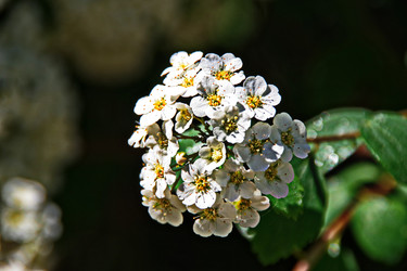 Similar image 22621078