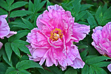 Similar image 22621079