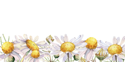 Similar image 22633448