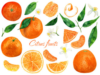 Similar image 22621855