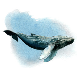 Similar image 22621856