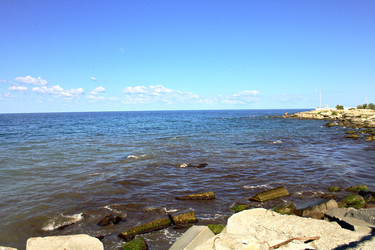 Similar image 22621874