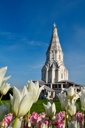 Similar image 22624658