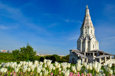 Similar image 22624663