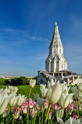 Similar image 22624667