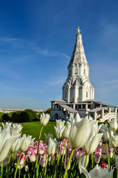 Similar image 22624673