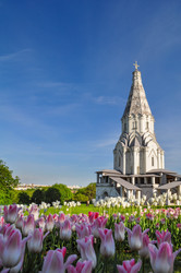 Similar image 22624674