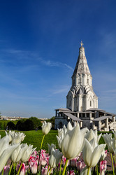 Similar image 22624676