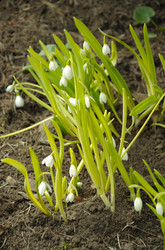 Similar image 22620624