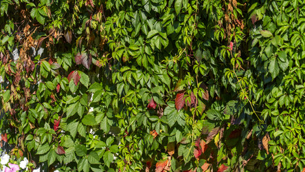 Similar image 22621974