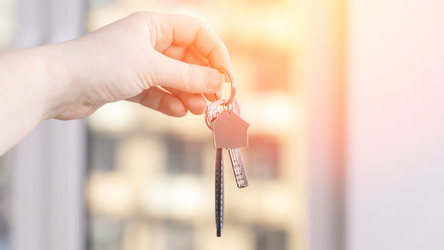 Similar image 22621988