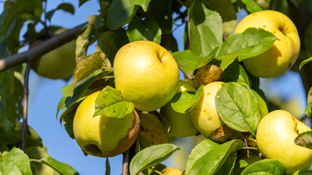 Similar image 22621989