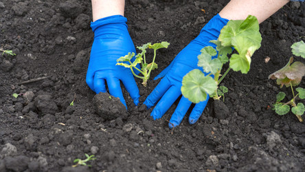 Similar image 22621993