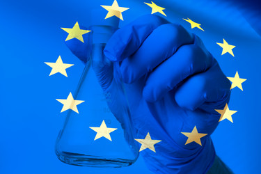 Similar image 22622012