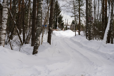 Similar image 22621737