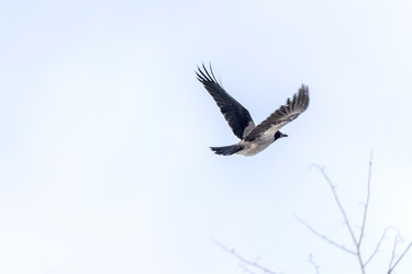 Similar image 22621794