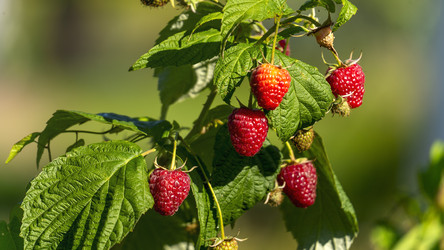 Similar image 22621817