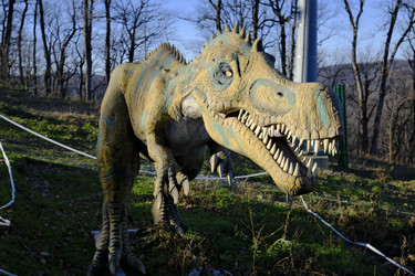 Similar image 22627688