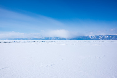 Similar image 22623271