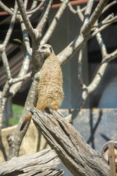 Similar image 22623274