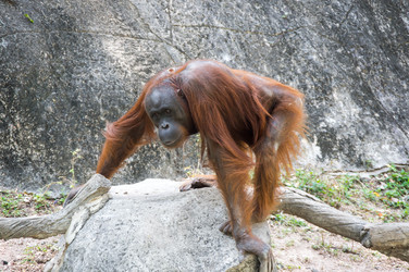 Similar image 22623275